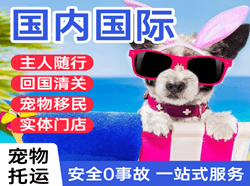 广州白云机场货运国际宠物托运 【国